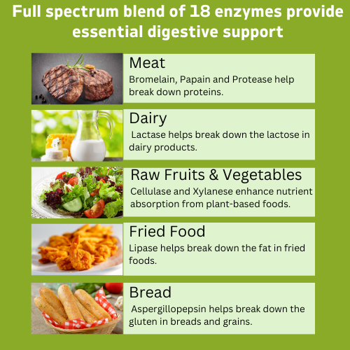 Digestive Enzyme Complex